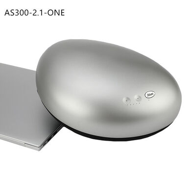 qualité Haut-parleur multimédia OEM en forme de galet 30W, KARAOKE professionnel, haut-parleur de voyage et de fête, texture métallique, décoration de table pour la maison, haut-parleur étanche usine